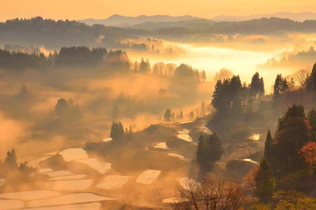 丧尸围城2